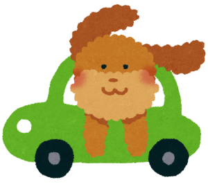 ペットと帰るイメージ